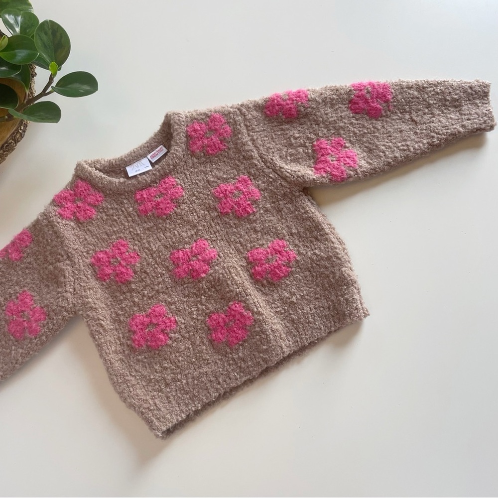 Zara Tan Pink Daisy Sweater | 3/4